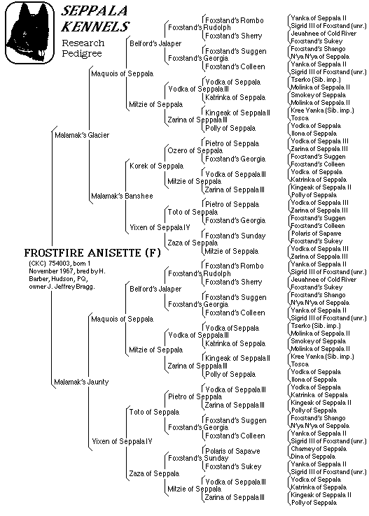 Frostfire Anisette pedigree gif