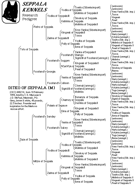 Ditko of Seppala pedigree gif