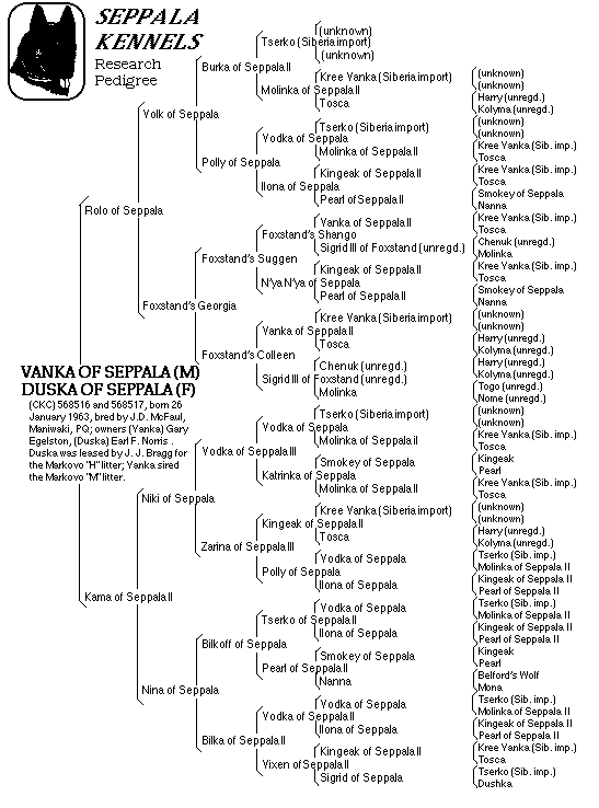 Vanka/Duska of Seppala pedigree gif