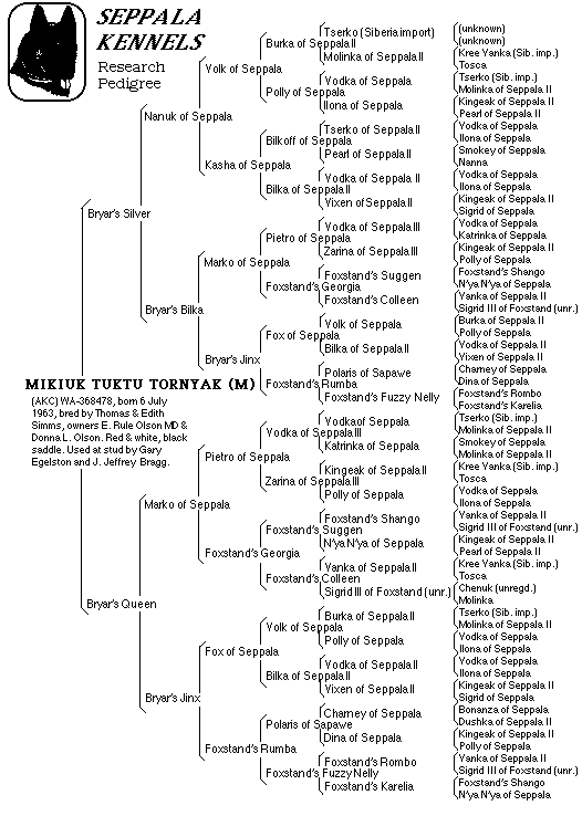 Mikiuk Tuktu Tornyak pedigree gif