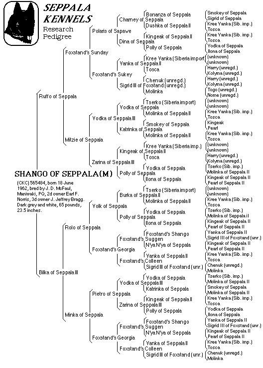 Shango of Seppala pedigree gif