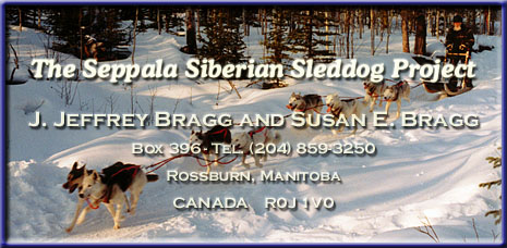 Seppala Kennels and the SSSD Project-
Mr. & Mrs. J. J. Bragg and Mr. & Mrs. Jack R. Murray-
Box 396-
Rossburn, MB-
Canada R0J 1V0