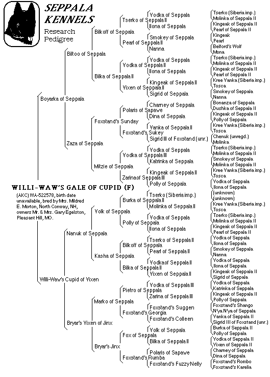 Willi-Waw's Gale of Cupid pedigree gif